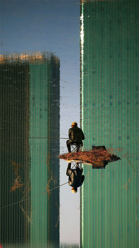 1519609526411661.jpg 三等獎:毛協東攝影作品《高視闊步》.jpg